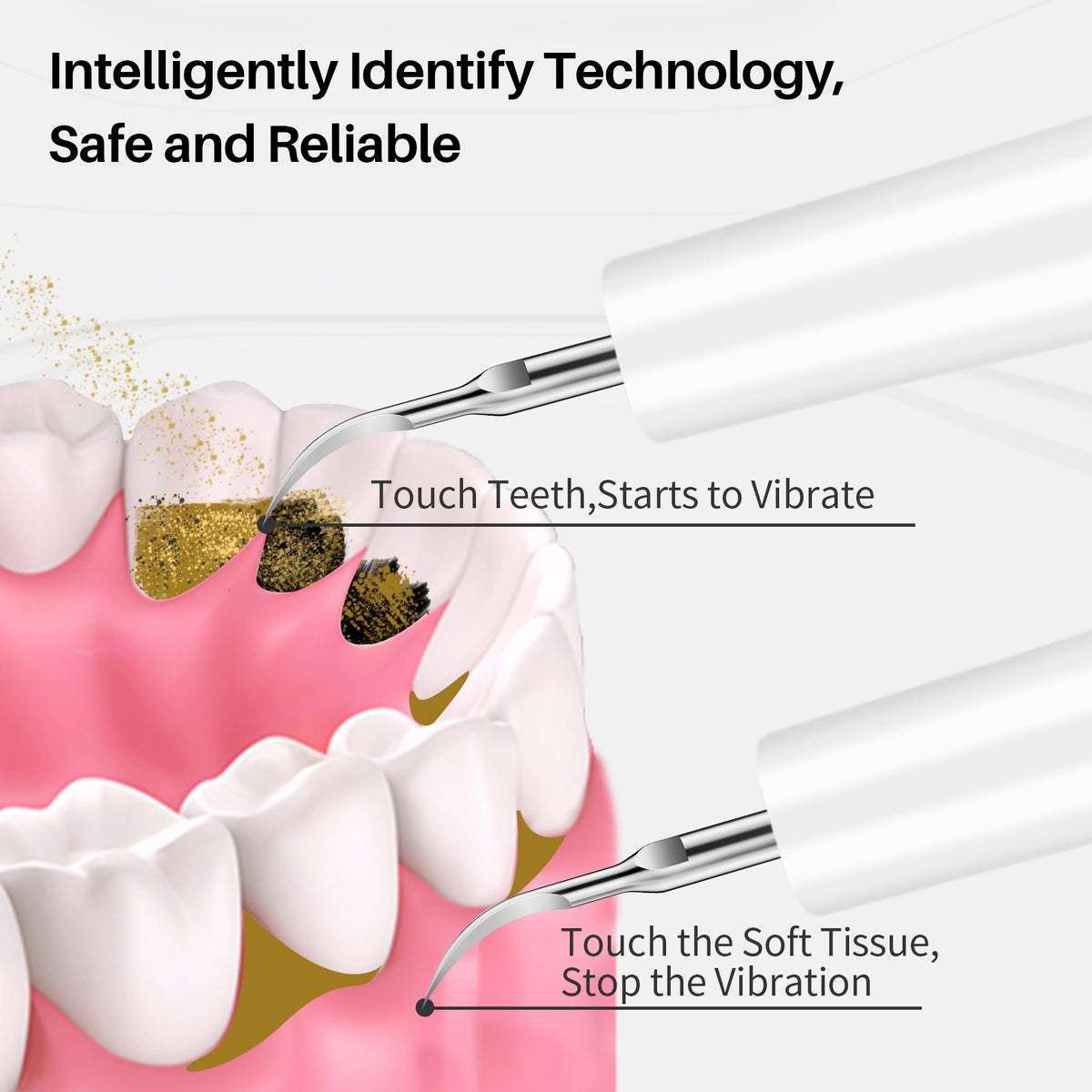 PERSMAX | White Ultrasonic Dental Calculus Remover